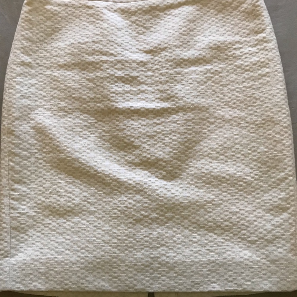 J crew womens skirt